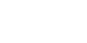 Todd King Logo